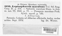 Leptosphaeria maculans image